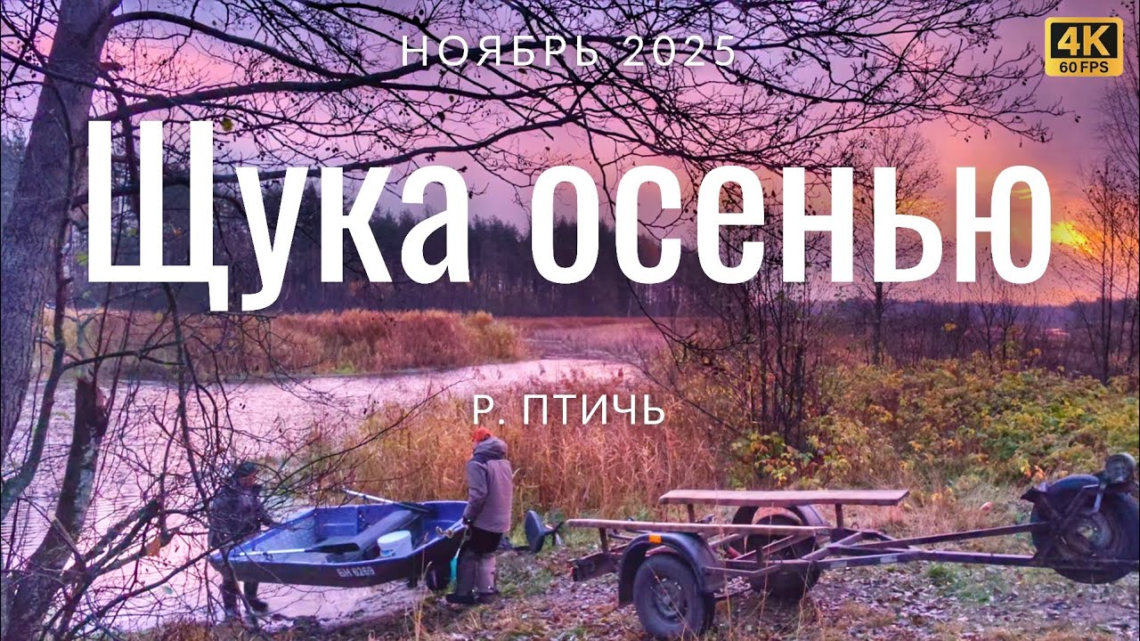 Ловим щуку поздней осенью на джиг и воблеры на реке Птичь в Беларуси 