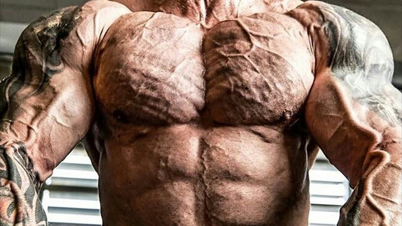 Bodybuilding Motivation - WE NEVER STOP