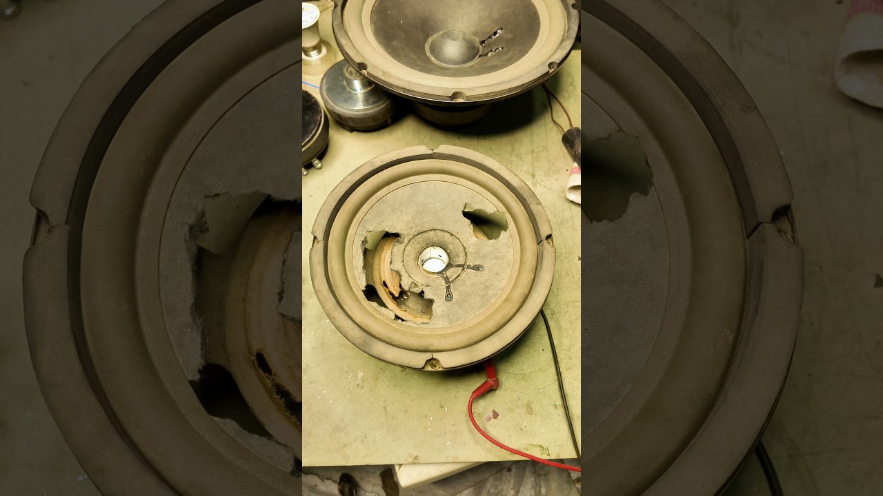 The most pathetic speaker on the planet 😅 #shorts #oldspeaker #speakerrepair