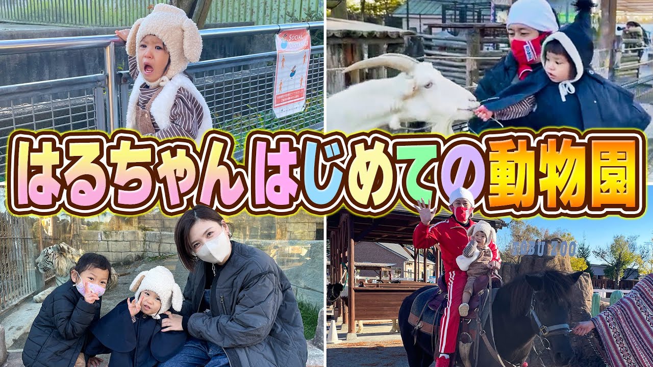 【はるちゃん大興奮】はじめての動物園にはるちゃんが…