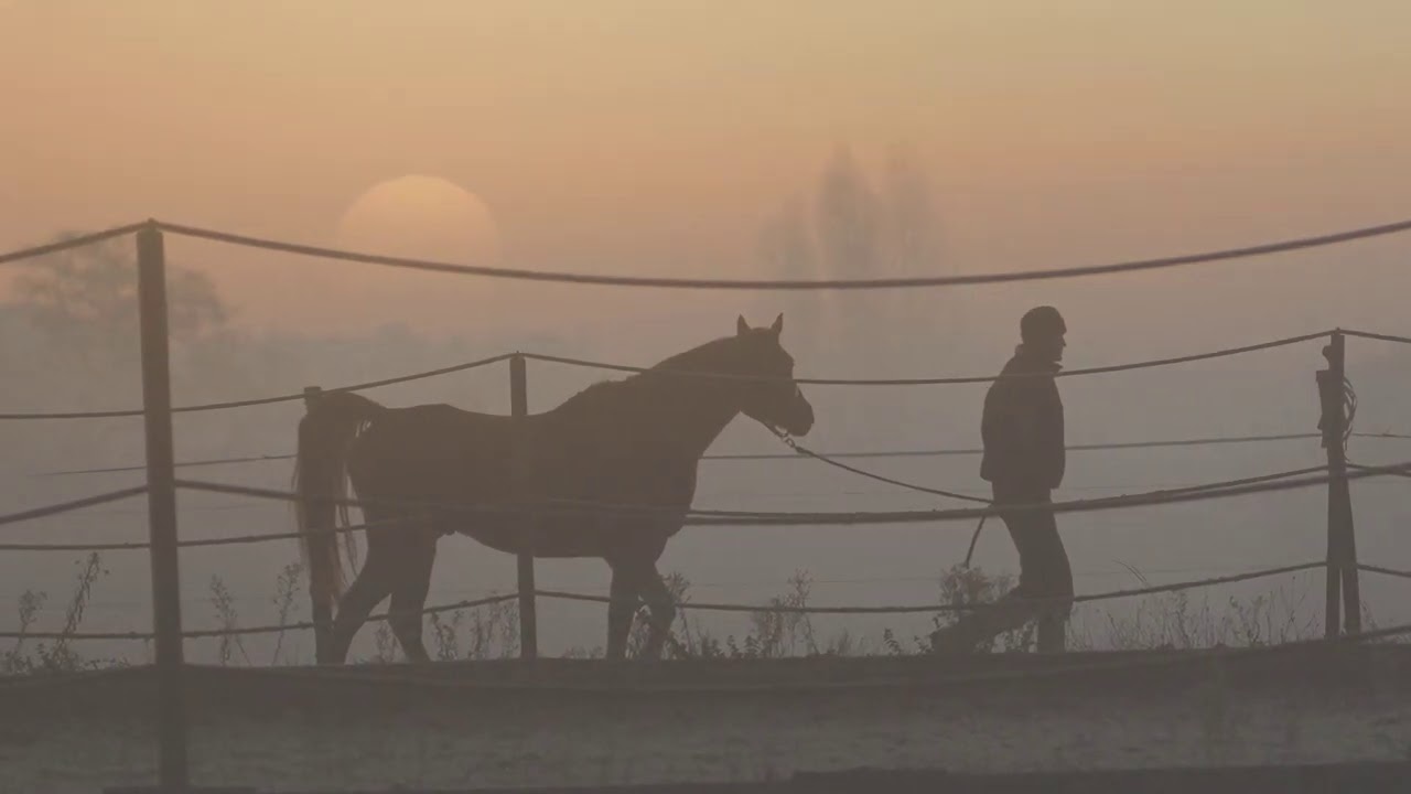 Katia Buniatishvili : Ständchen : Liszt /Schubert