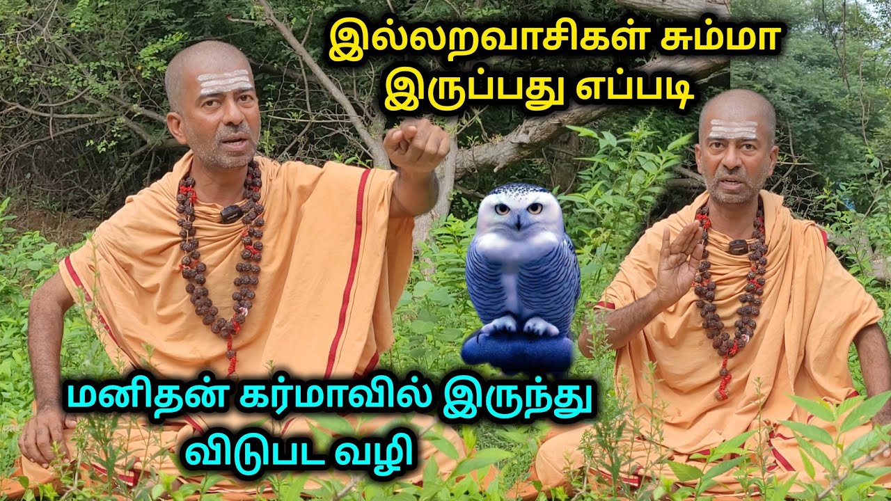 ஆன்மீகத்தில் உச்ச நிலை அடைய சும்மா இருங்கள்😱🙏 | Dhanasekar official | #omgodnagaraj #tiruvannamalai 