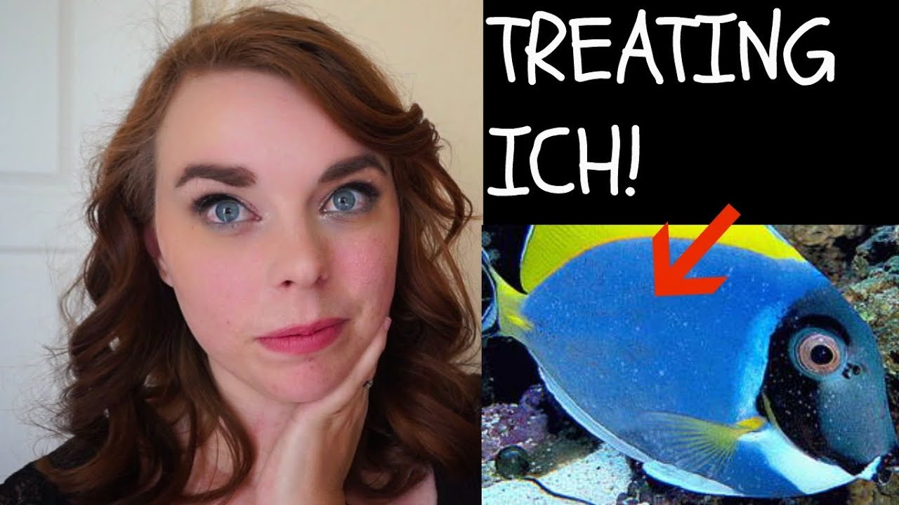 HOW TO TREAT ICH | Hyposalinity Explained!