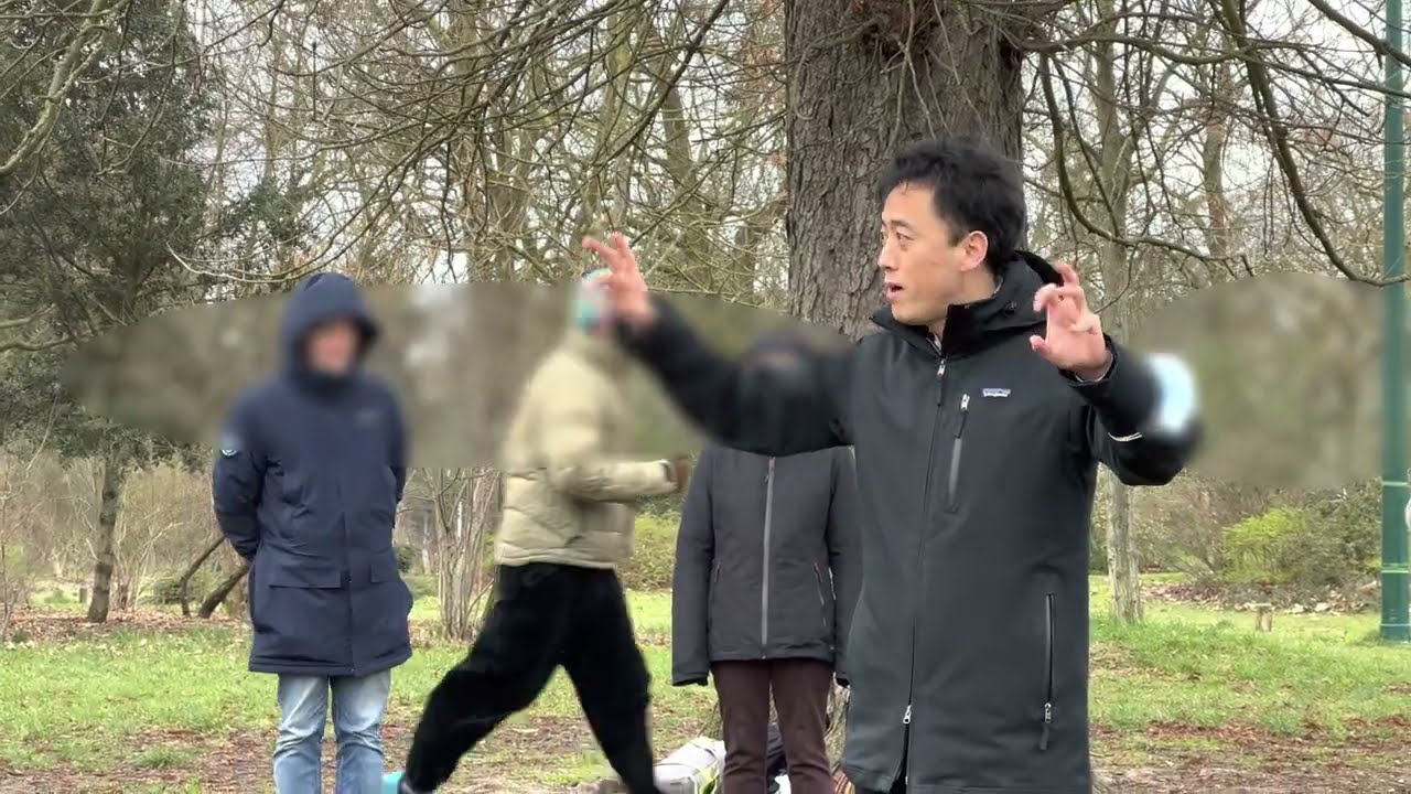 Marche Xi Xi Hu à Vincennes (Paris) pour lutter contre le cancer - www.grace-guolin-qigong.org