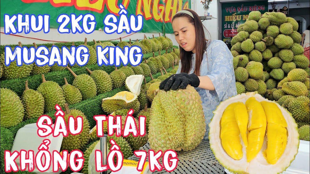 Cận Cảnh Bà Chủ Khui 2kg Cơm Sầu Riêng Musang King Và Trái Sầu Thái Khổng Lồ 7Kg