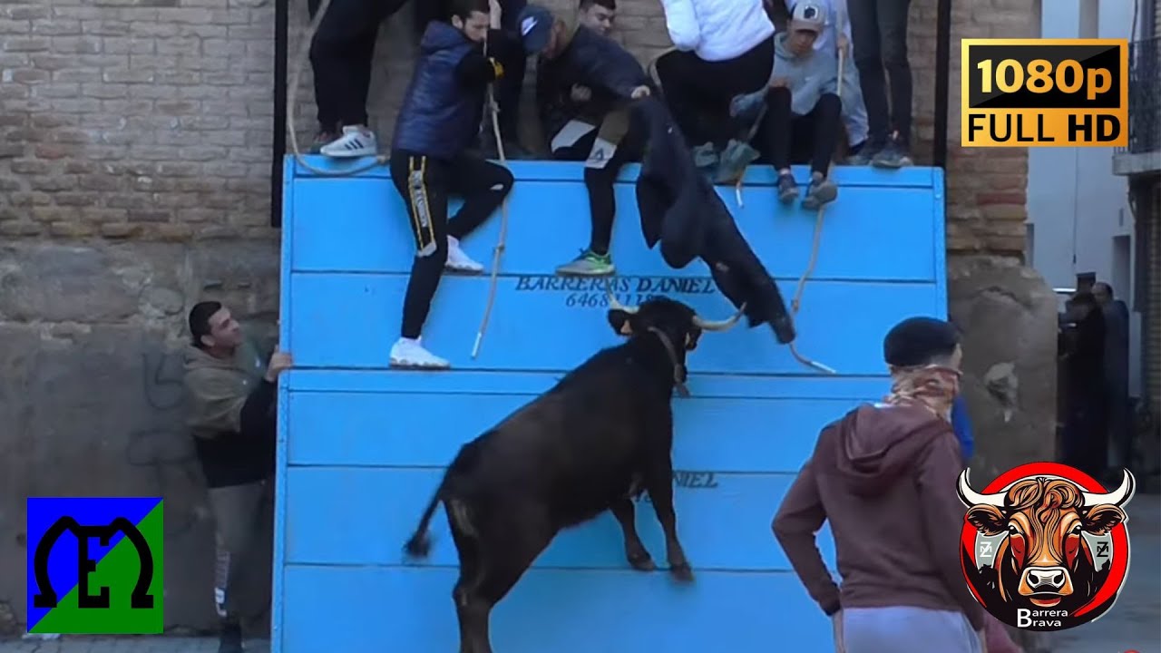 Plasencia de Jalón. Tarde de Vacas | 08/02/2025 | Ganad. Eulogio Mateo