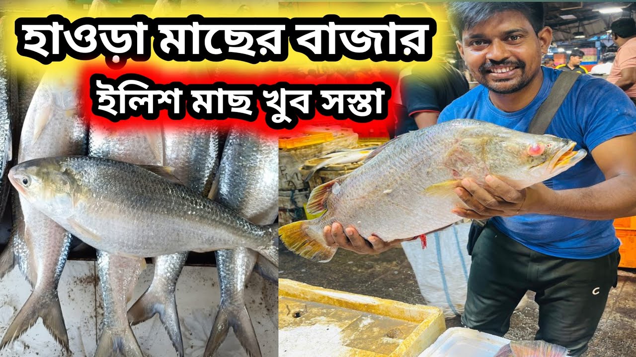 Howrah fish market chipset fish market #fishmarket #fish