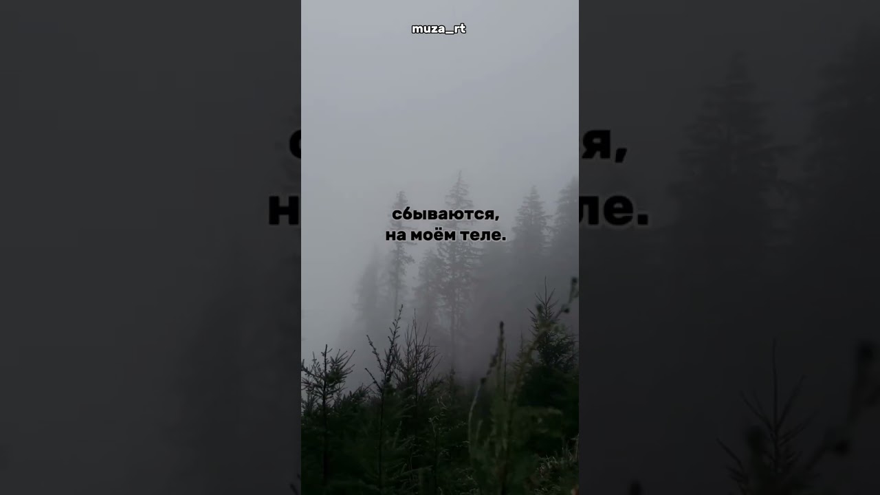 Футажи из тик тока