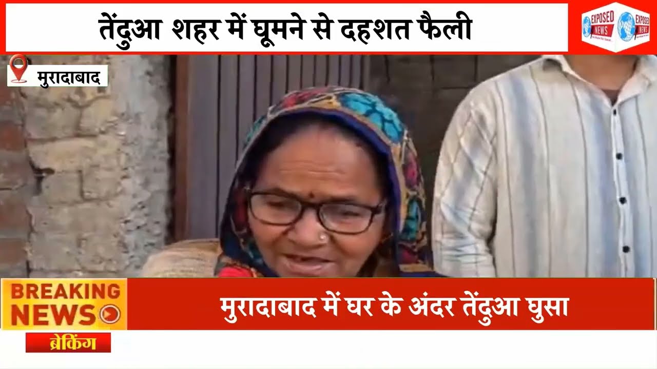 रातभर शहर में घूमता रहा तेंदुआ, सुबह घर के बाथरूम में मिला, पूरी कॉलोनी सील। रेस्क्यू ऑपरेशन जारी।