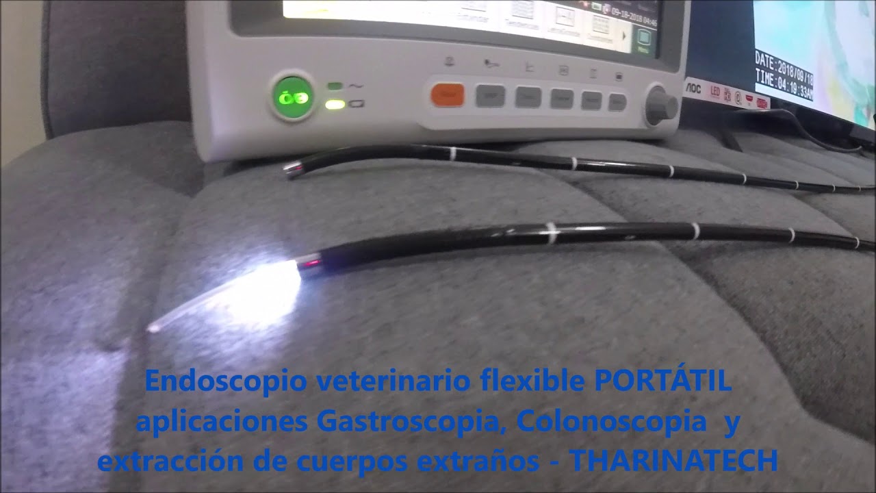 ENDOSCOPIO VETERINARIO FLEXIBLE Y PORT&Aacute;TIL - GASTROSCOPIA Y COLONOSCOPIA