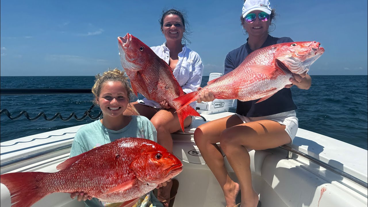 Catching Rare And Elusive “Endangered” Atlantic Red Snapper!! Catch, Clean, Cook!!!