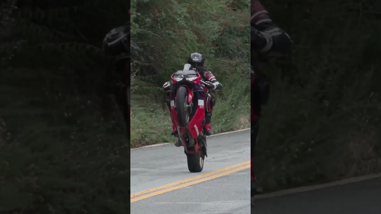 🏍️Rate the wheelie!👌