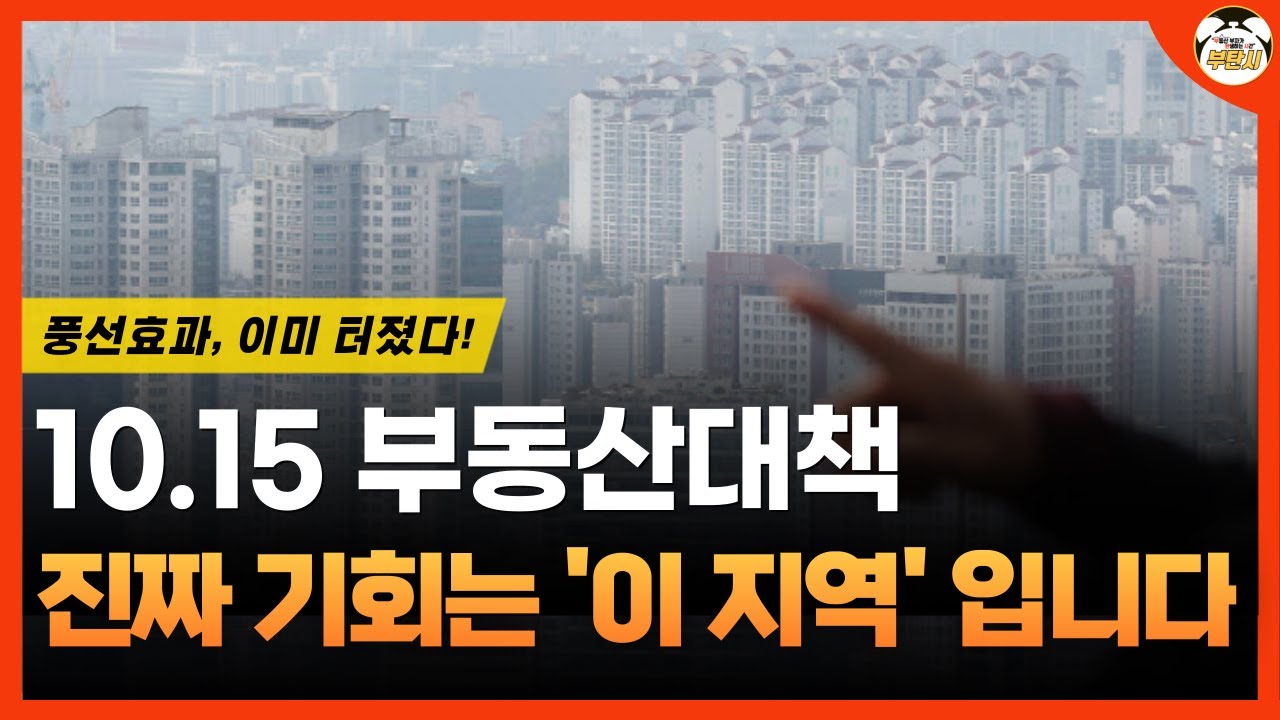 10.15 대책&hellip; 풍선효과 이미 시작됐다! 지금 돈이 몰리는 곳은?