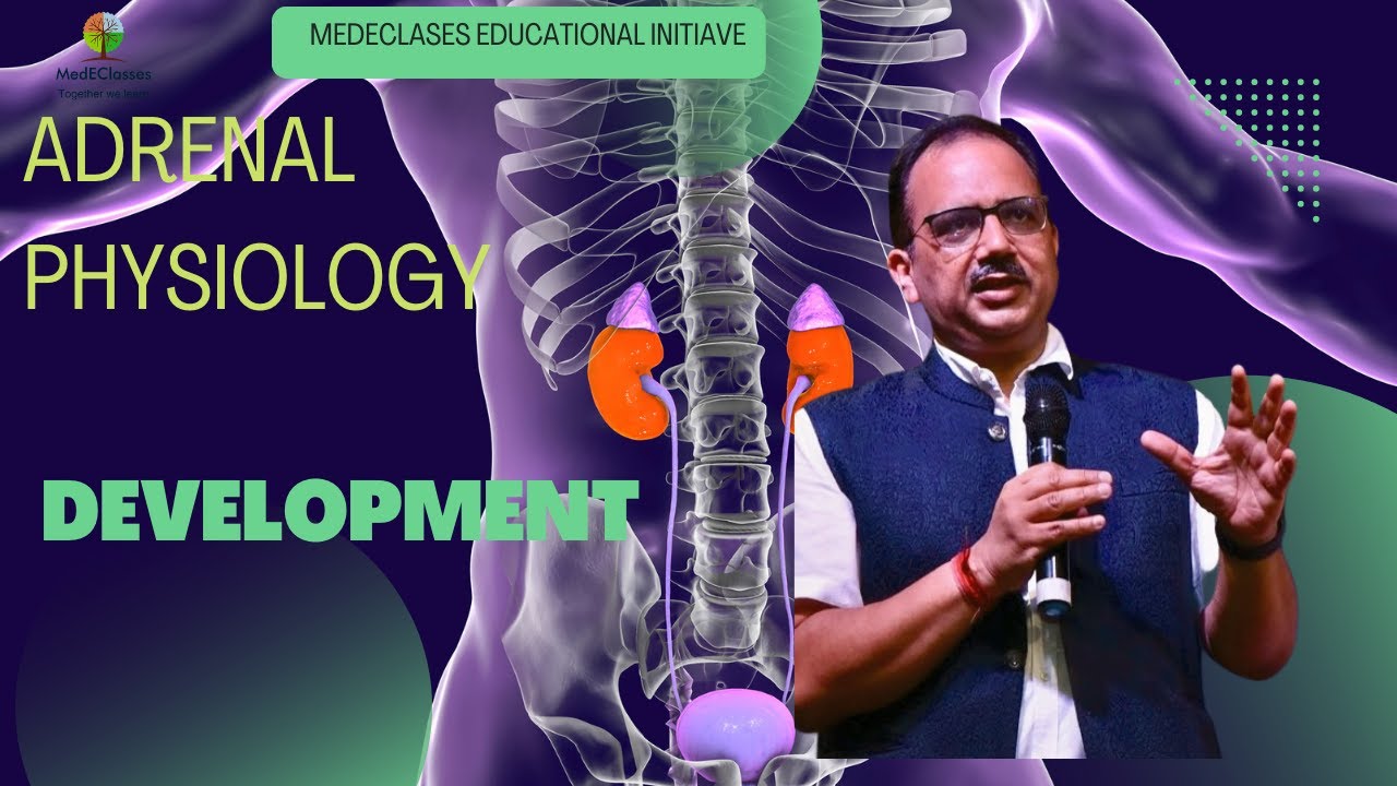 MedEClasses Lecture Series Adrenal Development