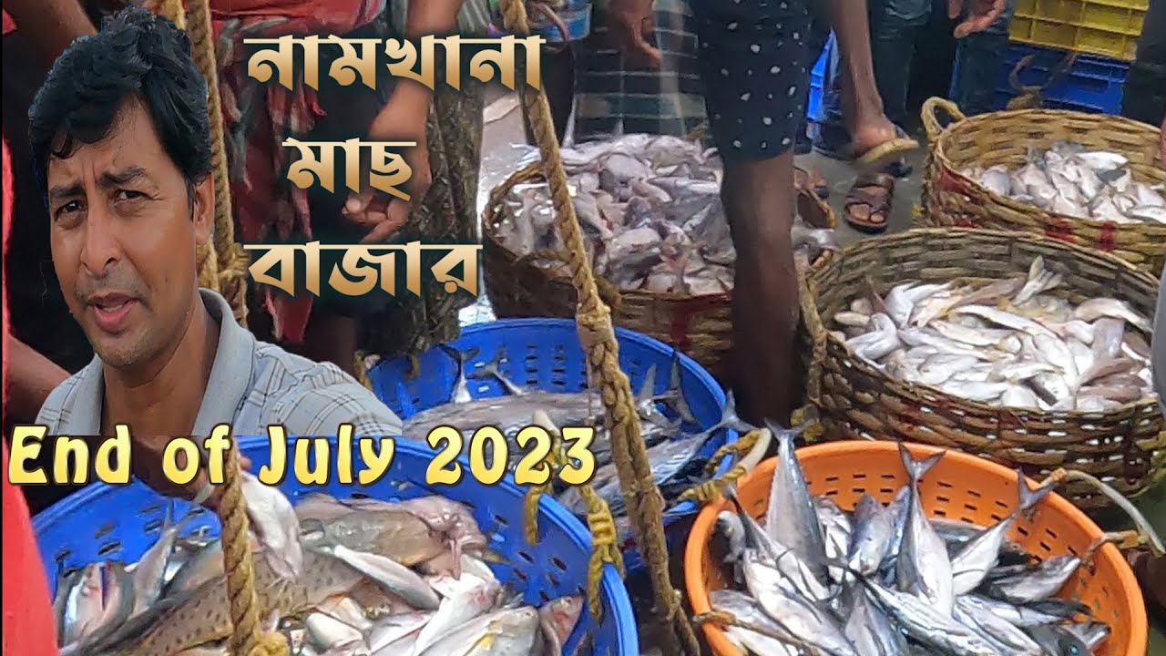 বিভিন্ন মাছের দাম নামখানা মাছের বাজারে জুলাই 2023||   Namkhana fish market || hilsa fish price