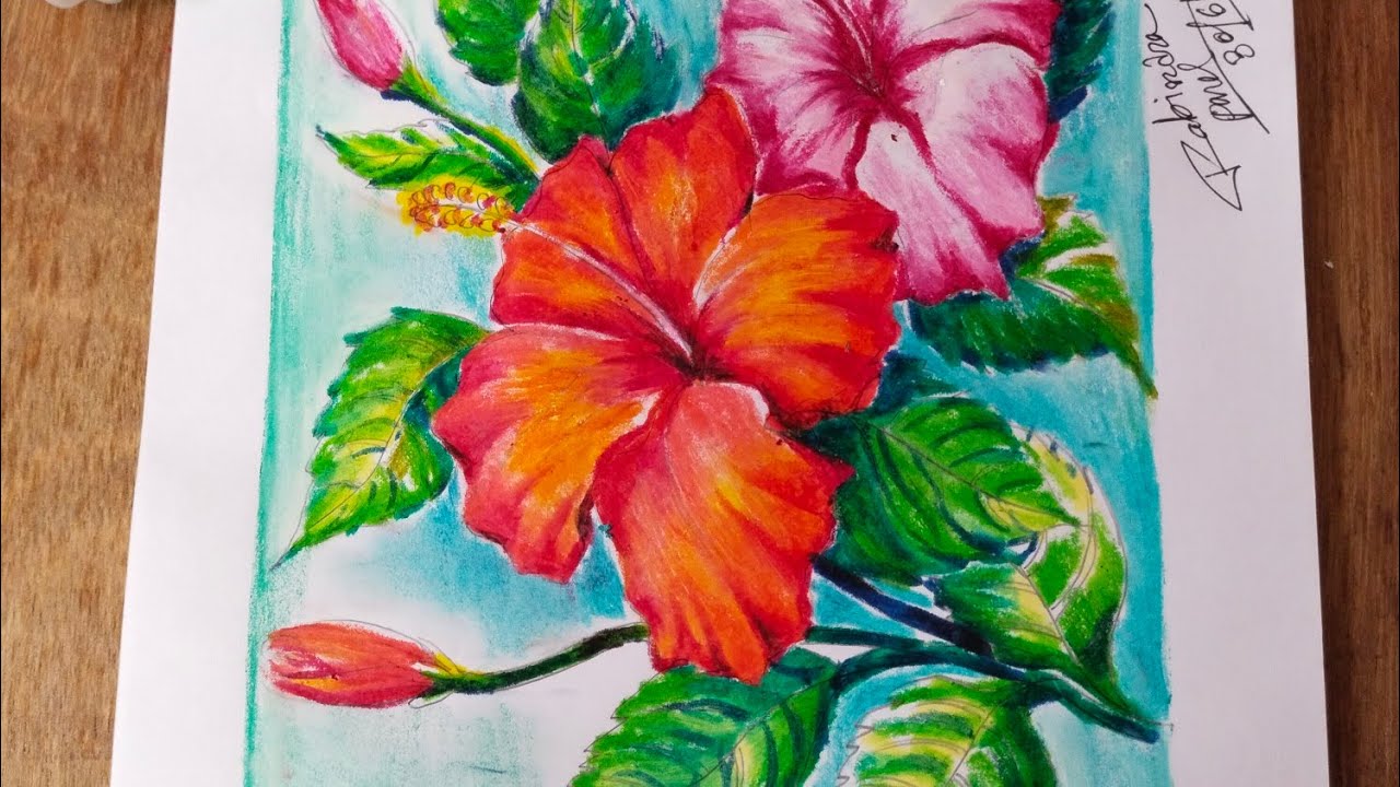 how to draw hibiscus flower with oil pastel colours step by step easy.