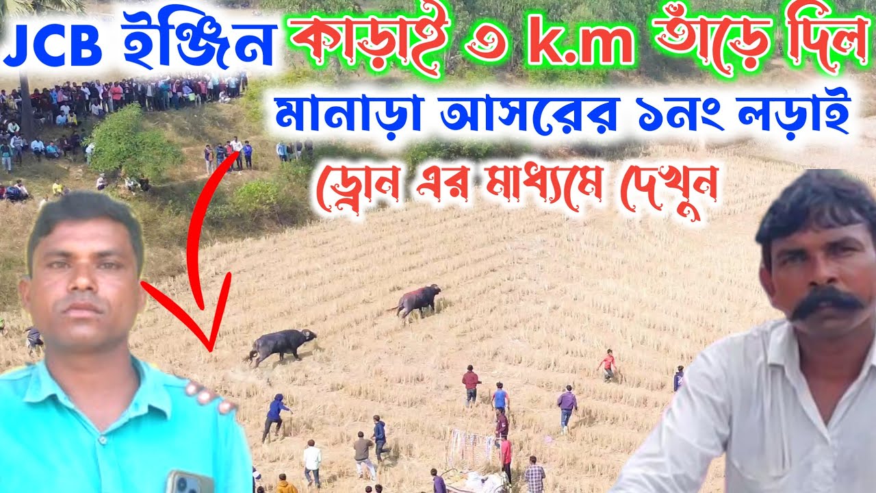 JCB ইঞ্জিন কাড়াই ৩ k.m তাঁড়ে দিল মহিলা রসিকের কাড়া কে । মানাড়া আসরের ১ নং লড়াই