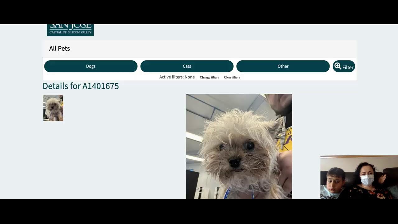 Looking for a dog to adopt from a local shelter! #adoptdontshop #storiesbyjamie