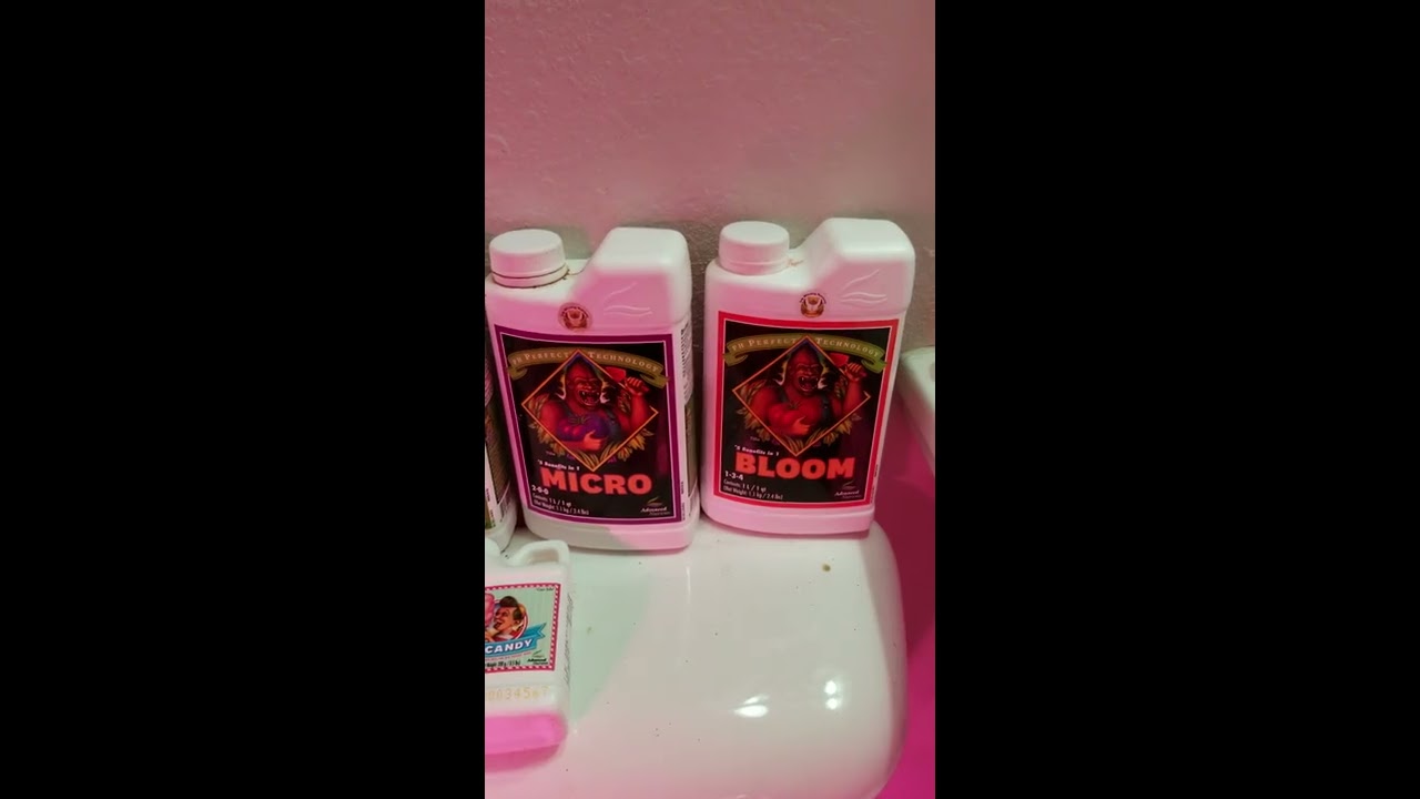 ADVANCED NUTRIENTS  AUTOFLOWERS
