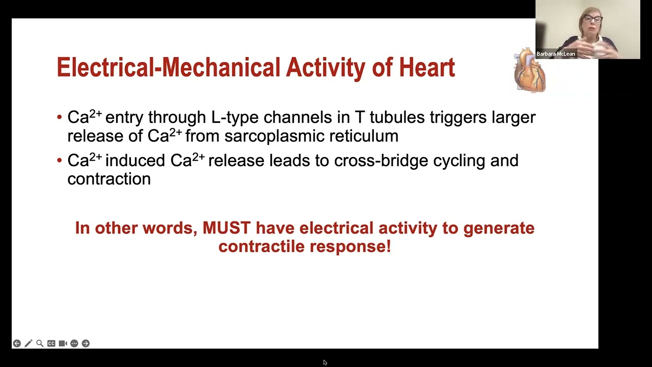 Cardiac terms contractility