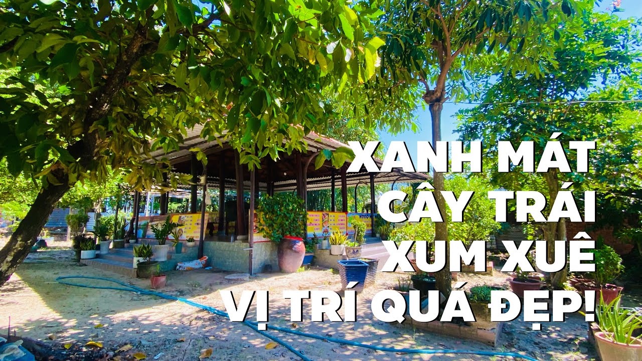B&aacute;n nh&agrave; vườn xum xu&ecirc; c&acirc;y tr&aacute;i ngay mặt tiền đường ch&iacute;nh gần bệnh viện chợ