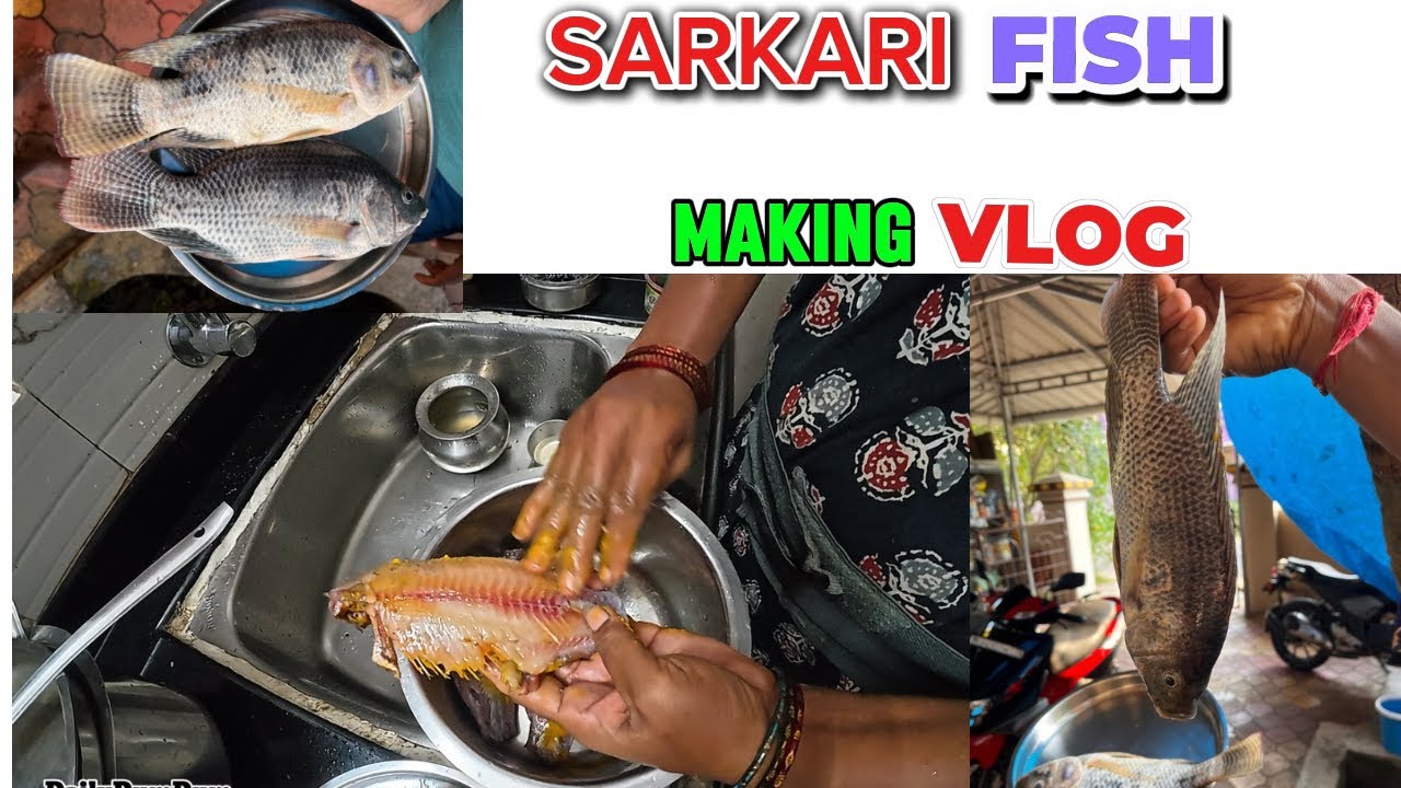 Lake Fish(ಸರ್ಕರಿ ಮೀನು )Making Vlog 😋/ Vlog ಸ್ವಲ್ಪ lengthy ಆಯ್ತು 😅😂 #kannada 