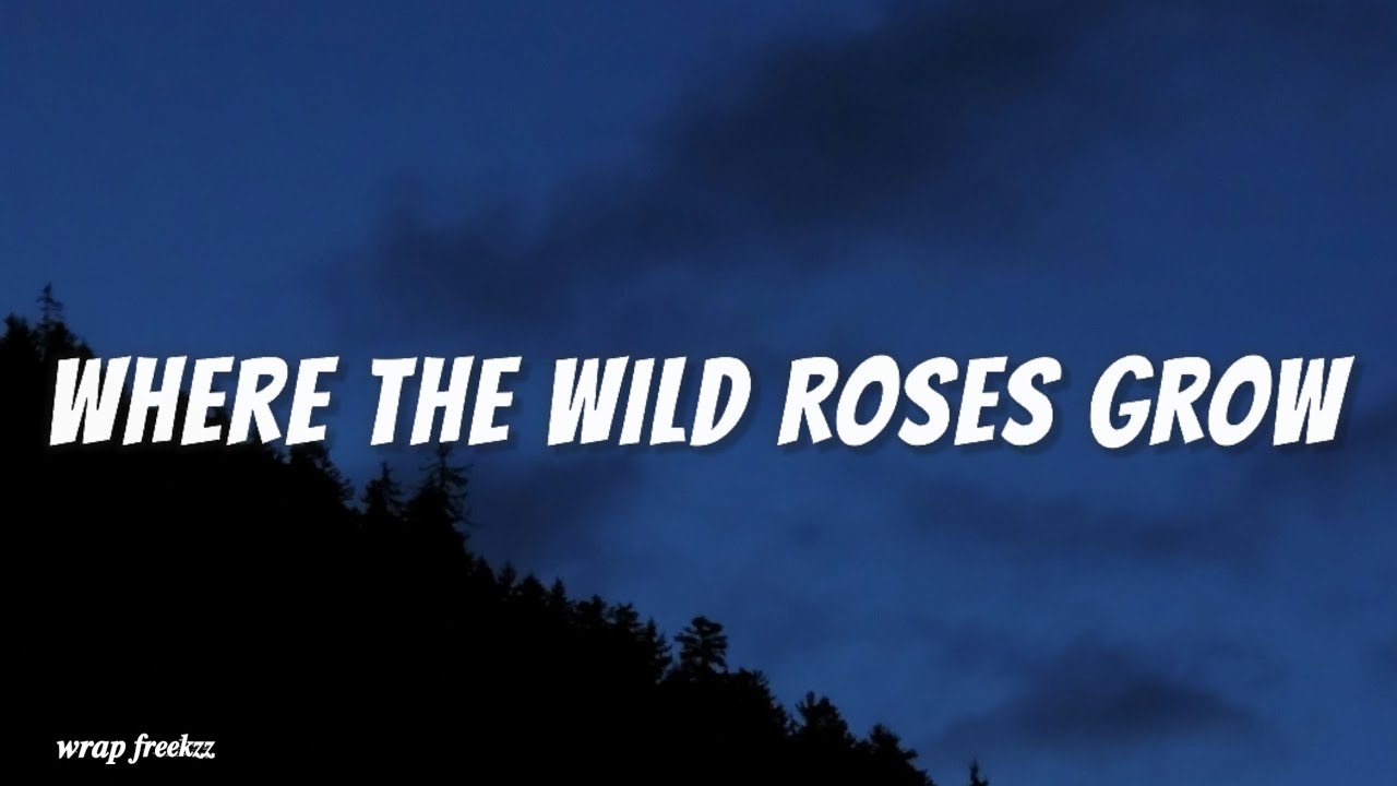Where the wild roses grow- Lyrics