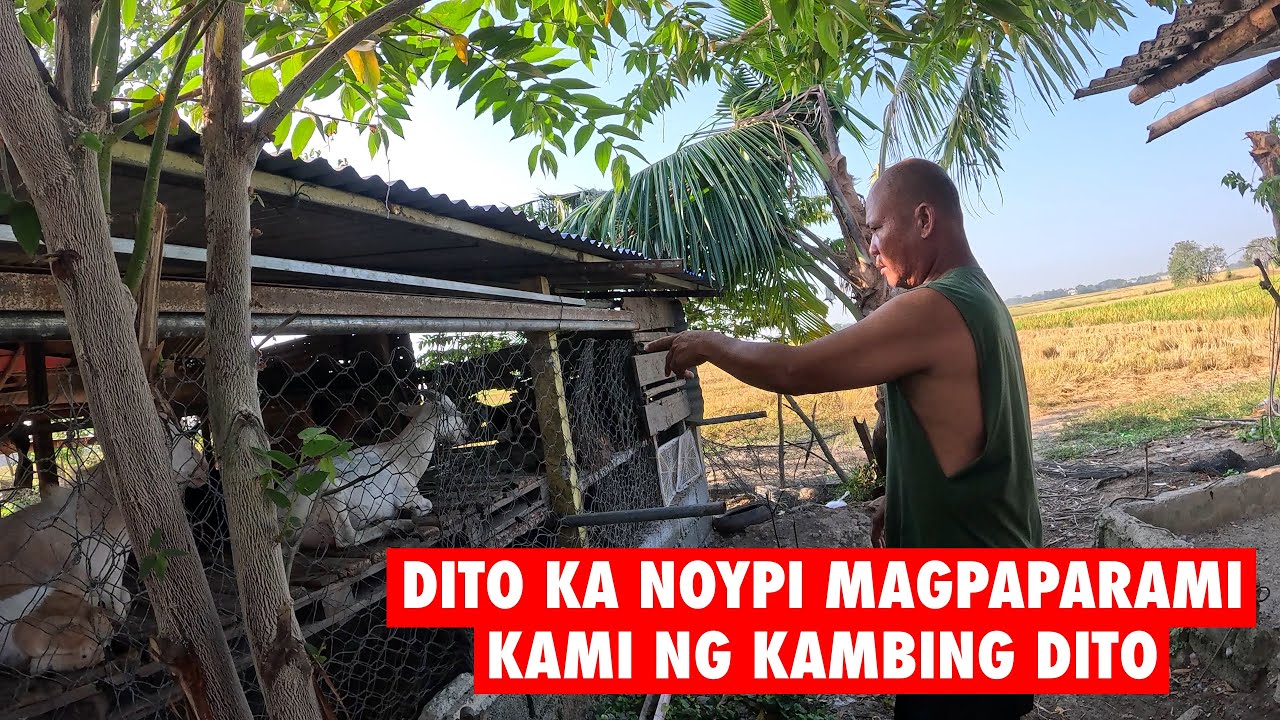 Ang ganda talaga pag may lupa sa bukid 