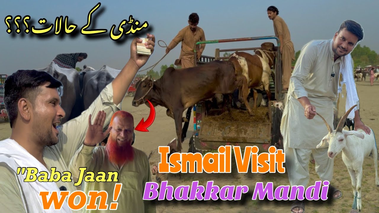 Ismail jutt Visit bhakkar Mandi