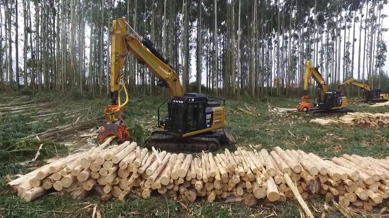 EXHIBICION EQUIPOS FORESTALES GUERRA