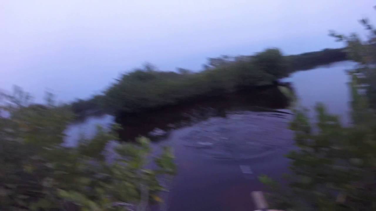 Snook strike