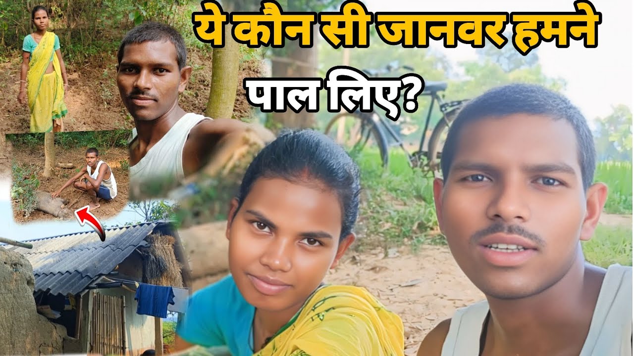 ये कौन सी जानवर हमने पाल लिए ||🤔 @cuplevlog @raju&malati