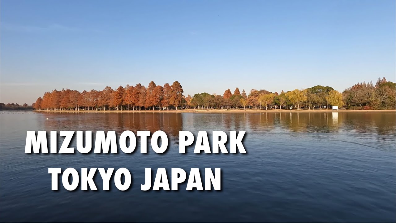 MIZUMOTO PARK: A hidden paradise in Tokyo