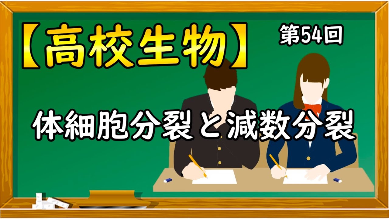 高校生物【第54回 体細胞分裂と減数分裂】オンラインで高校授業