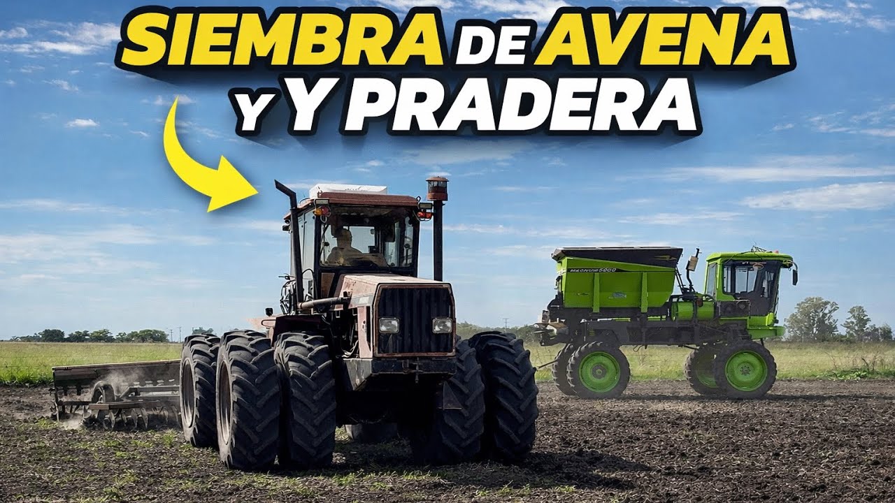 TERMINAMOS la COSECHA, ARRANCAMOS con los VERDEOS para TENER PASTO en INVIERNO para las VACAS!!!