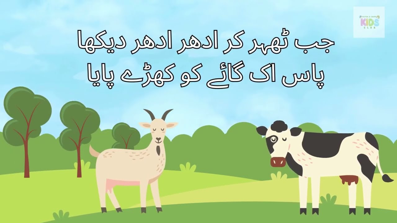 ''Aik Gaye aur Bakri  |A Poem By  Iqba| |a cow and a goat|kids club|ایک گائے اور بکری|Urdu poem