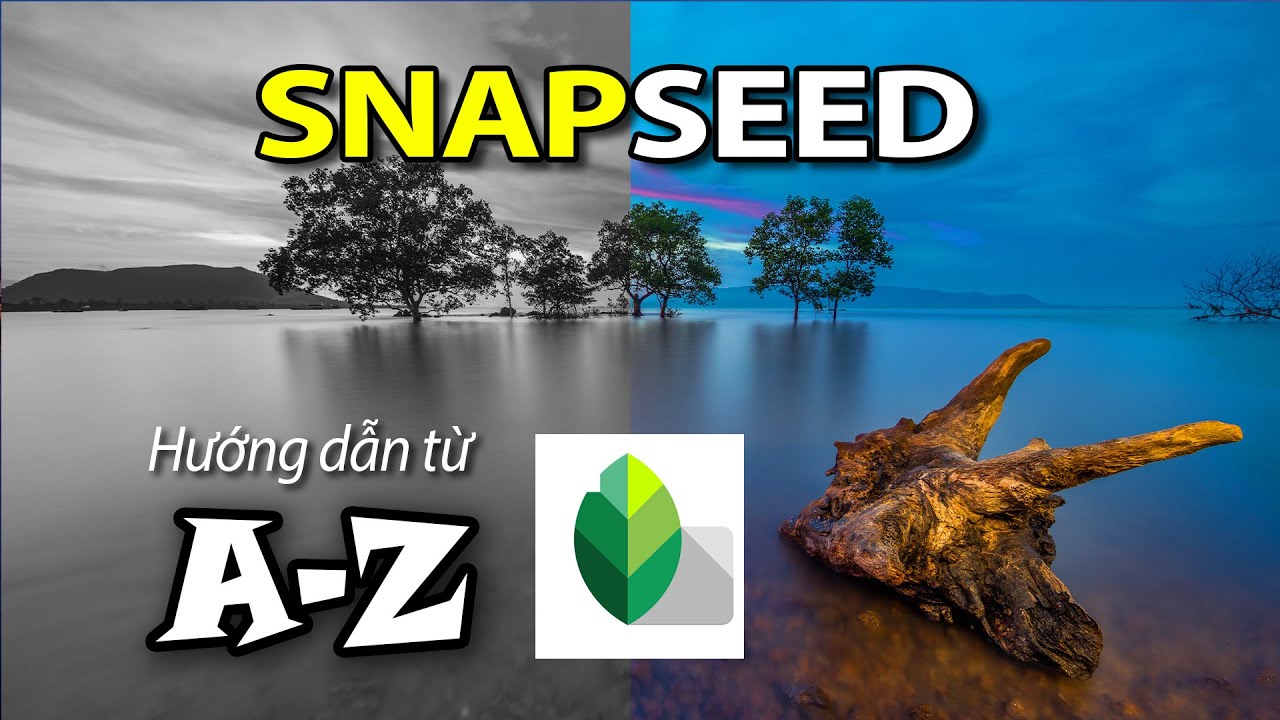 SNAPSEED - Hướng dẫn chỉnh sửa ảnh trên điện thoại từ A-Z (P1)