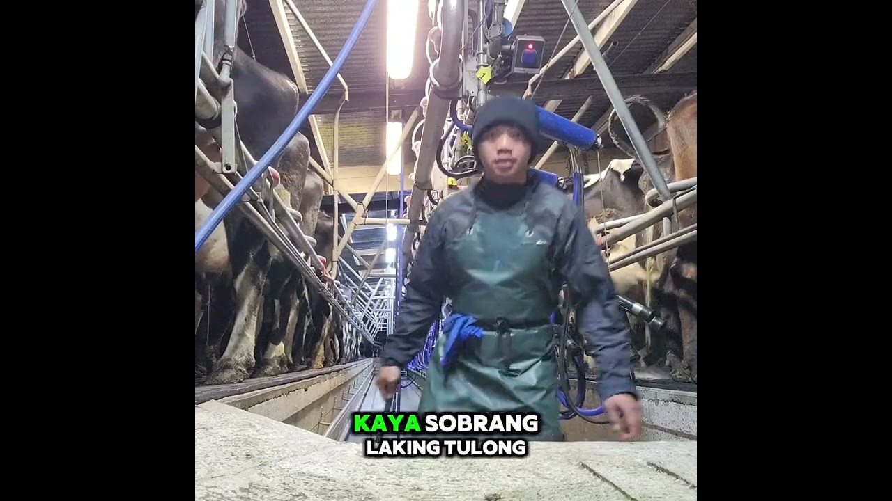 Magkano ang ginastos ko sa pag apply ng trabaho dito sa New Zealand?