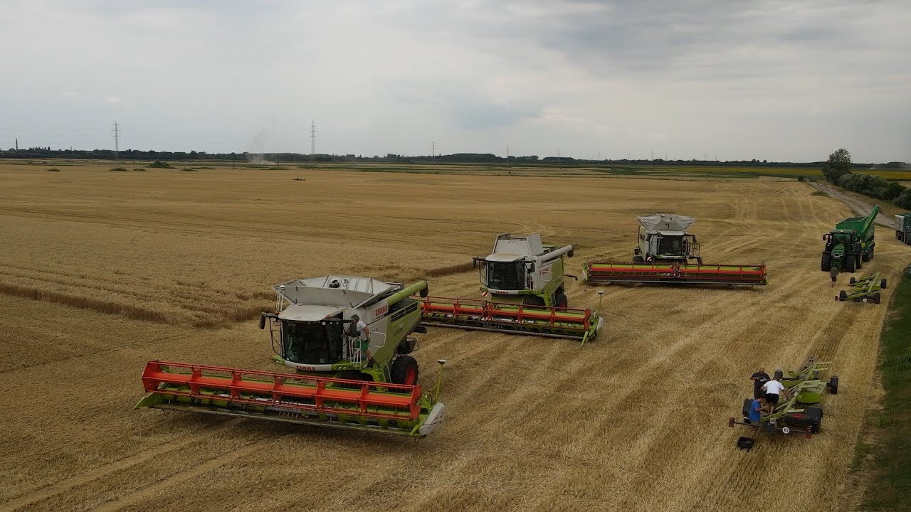 XXL HARVEST 2022 - CLAAS LEXION 8900, 2 X CLAAS LEXION 760, JOHN DEERE 8400R+HAWE, JD 8345R,8430