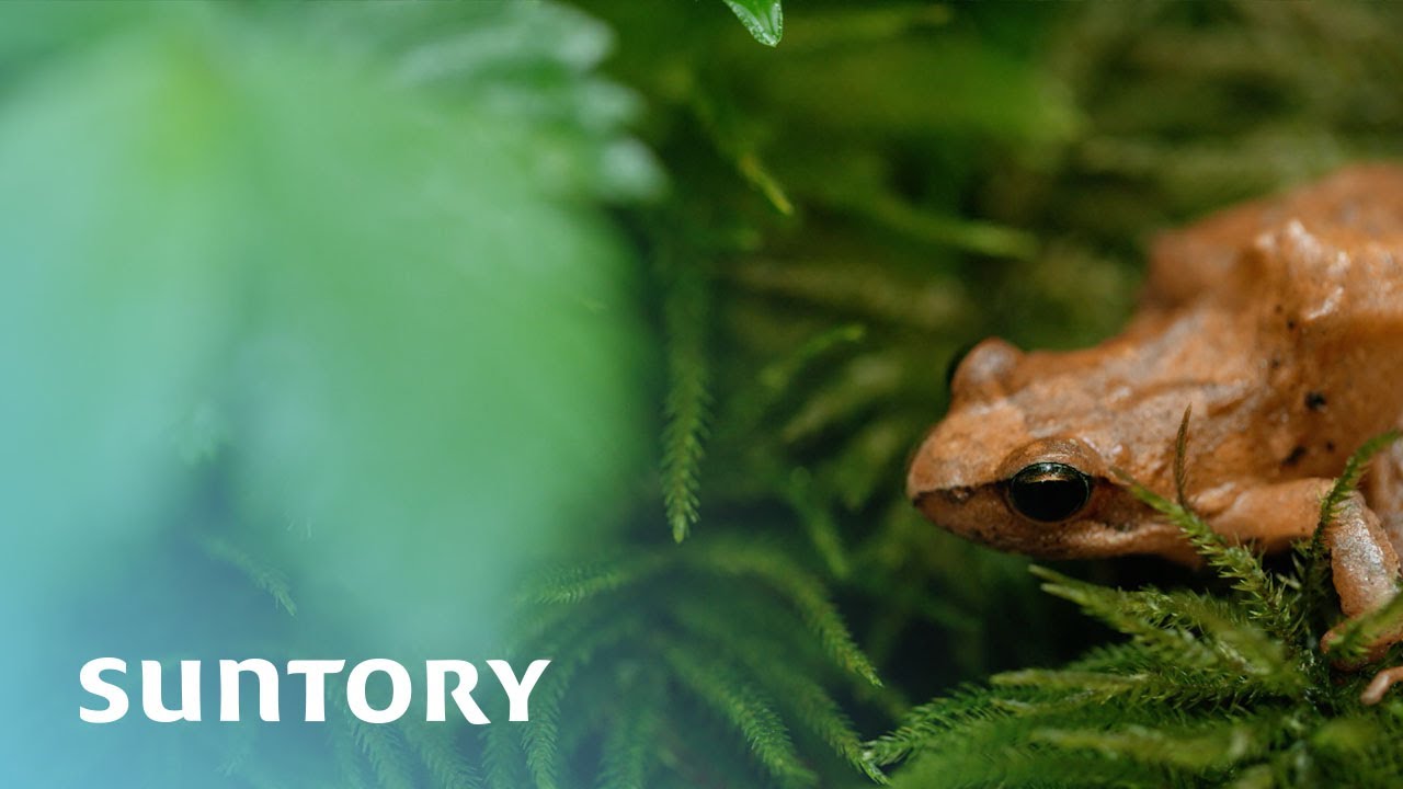 SUNTORY Natural Water Sanctuary (3m7s)