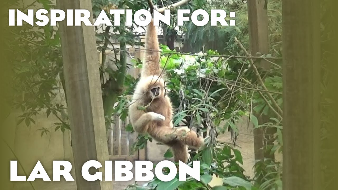 12 Real Gibbon Habitats! (Planet Zoo: Tropical Pack Inspiration)