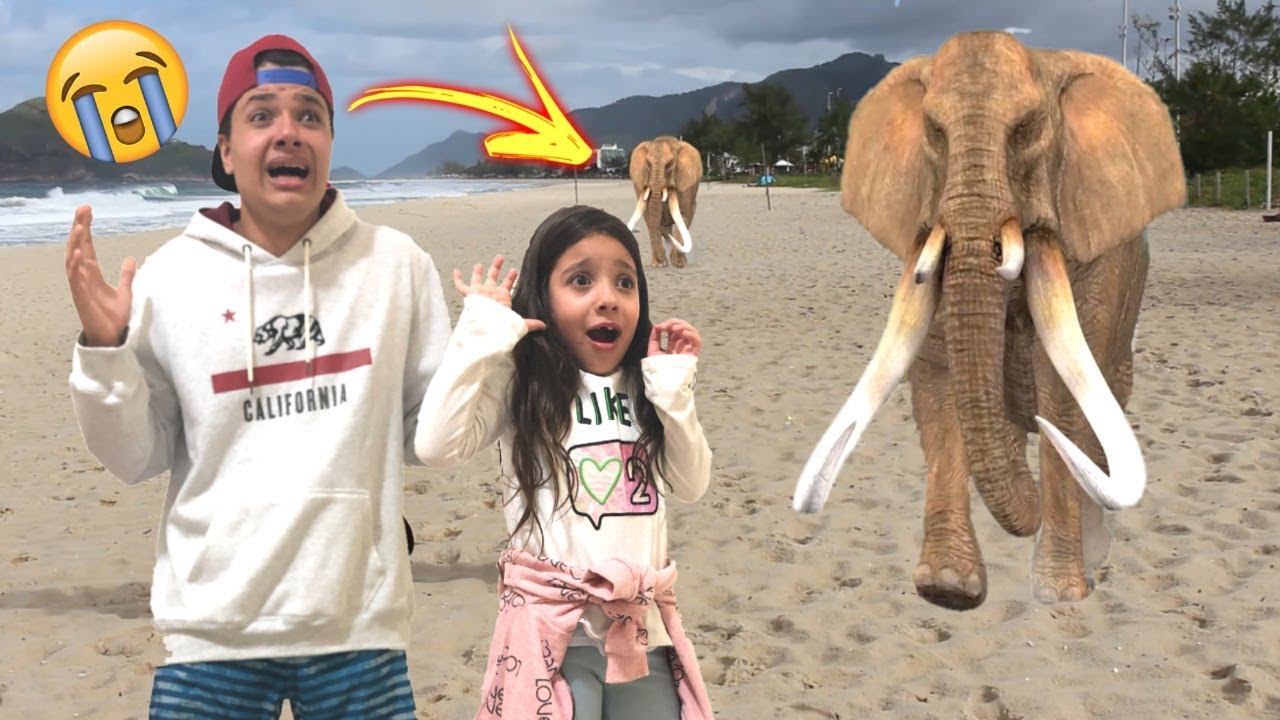 ANNY FINGE BRINCAR DE FUGIR DE ANIMAIS COM O SEU IRMÃO / Pretend Play to run away from the Elephant