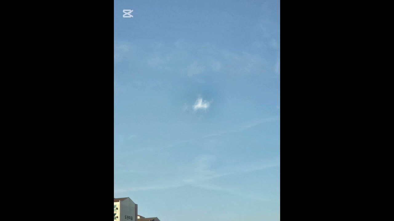 새벽에 남겨진 사람
