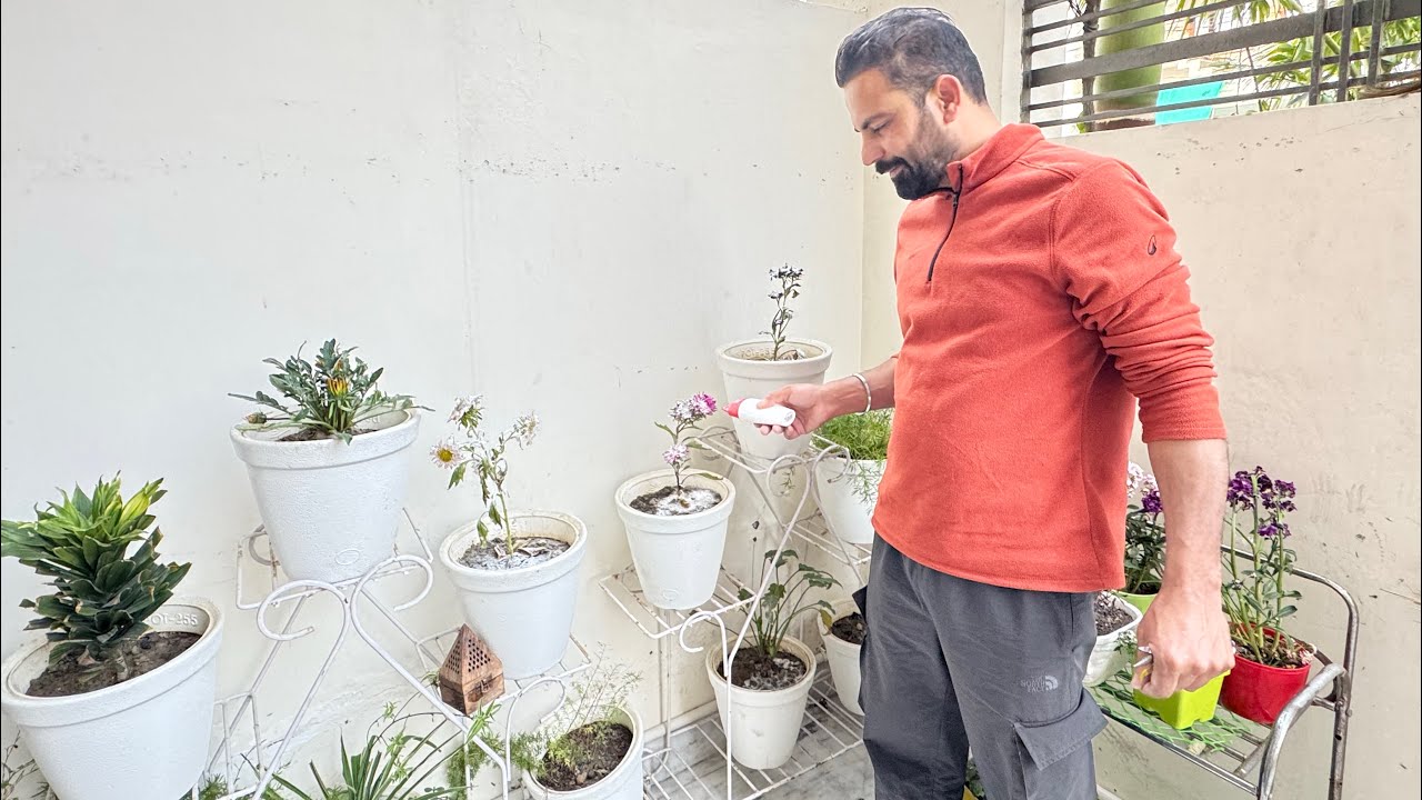 Rajeev Ne plant Ke Saath Kya kar Diya 😂