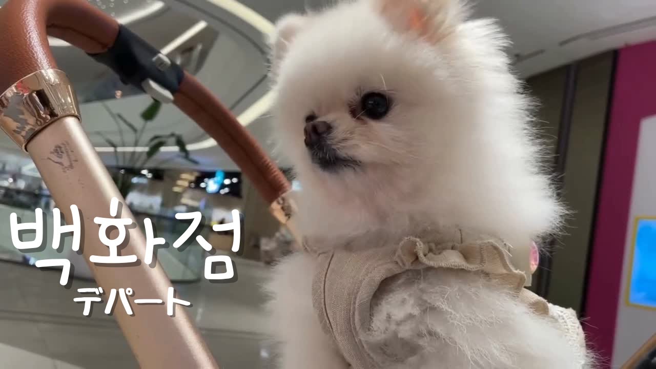 백화점 (デパート)