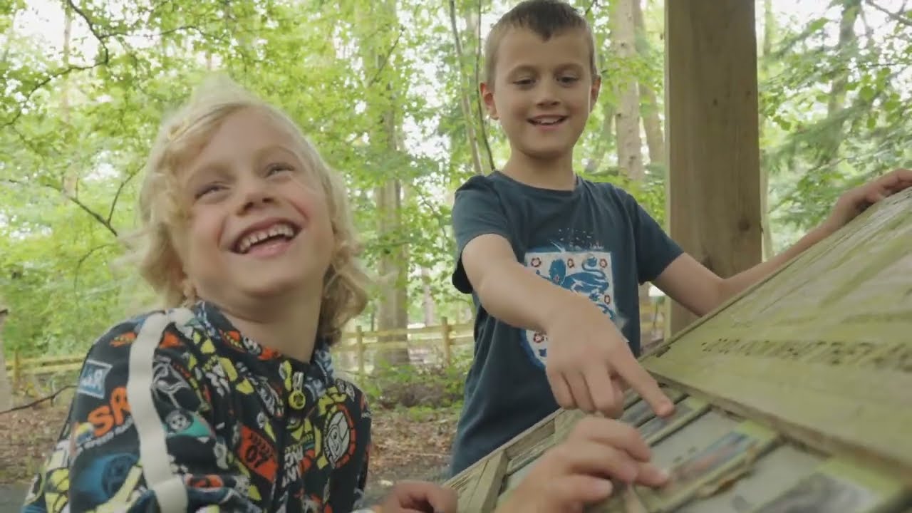 This is Camp Mohawk, Summer 2024