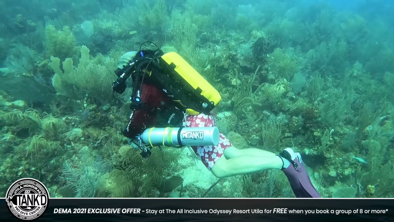 Tank'd Pro Dive Shop Utila  DEMA Show 2021 v2.1