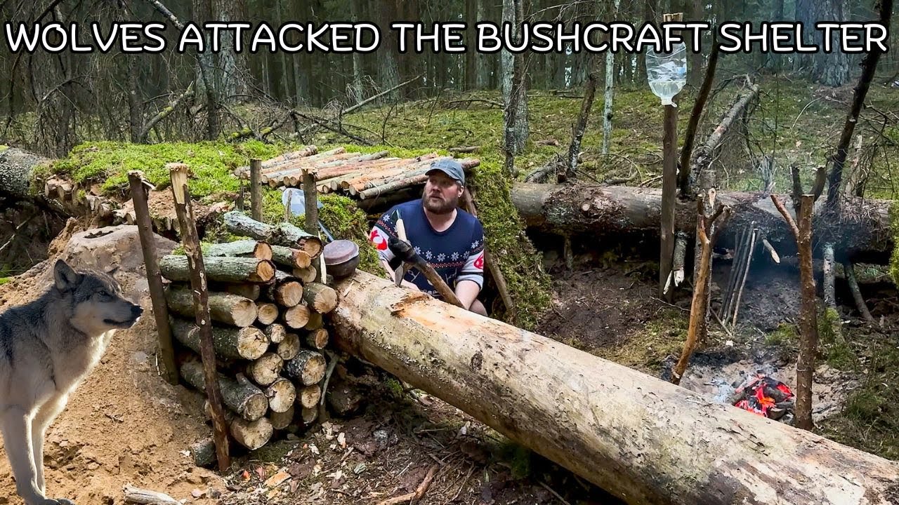BUILT AN UNDERGROUND BUNKER IN THE FOREST. WATER EXTRACTION FROM TREES.FULL MOVIE.ASMR