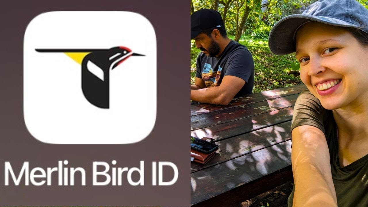 Merlin Tutorial in Action! 3 Ways We Use Merlin to Find TONS of Birds