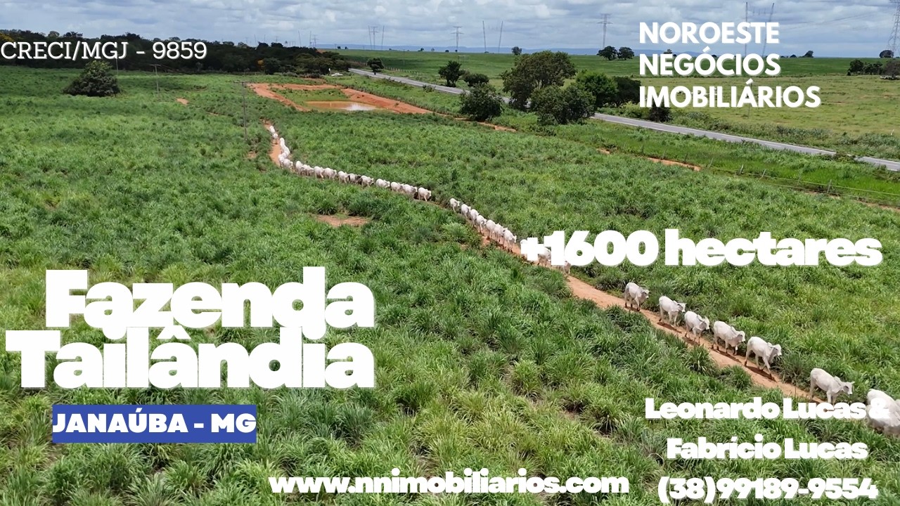 FAZENDA À VENDA | JANAÚBA/MG | FAZENDA TAILÂNDIA